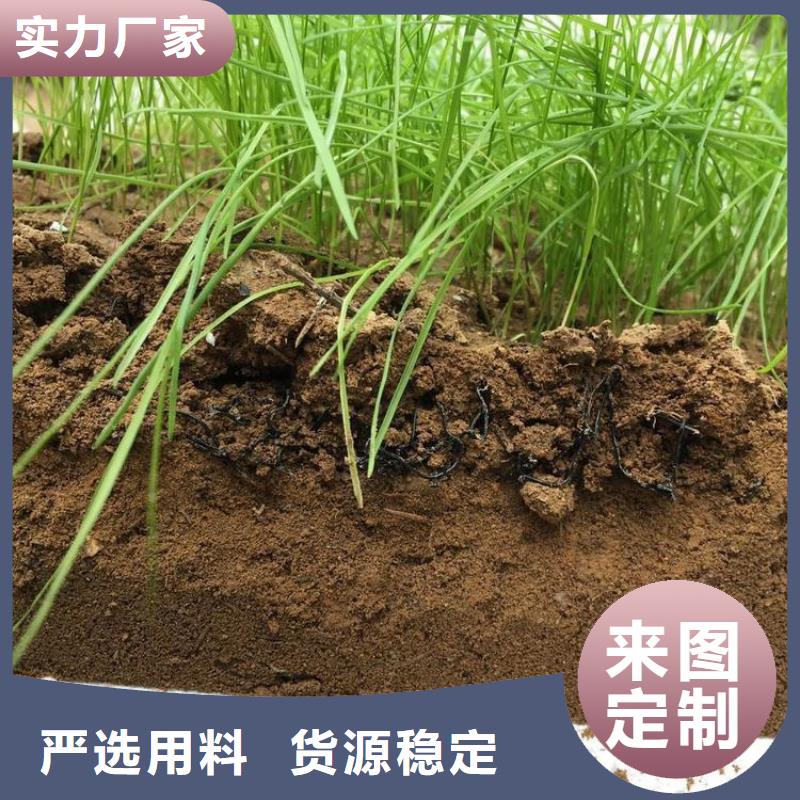 水土保护毯无纺布放心购