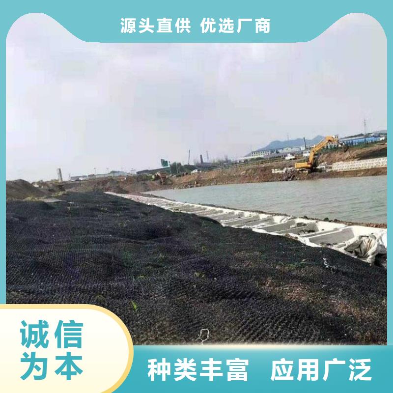 水土保护毯_土工布出厂严格质检
