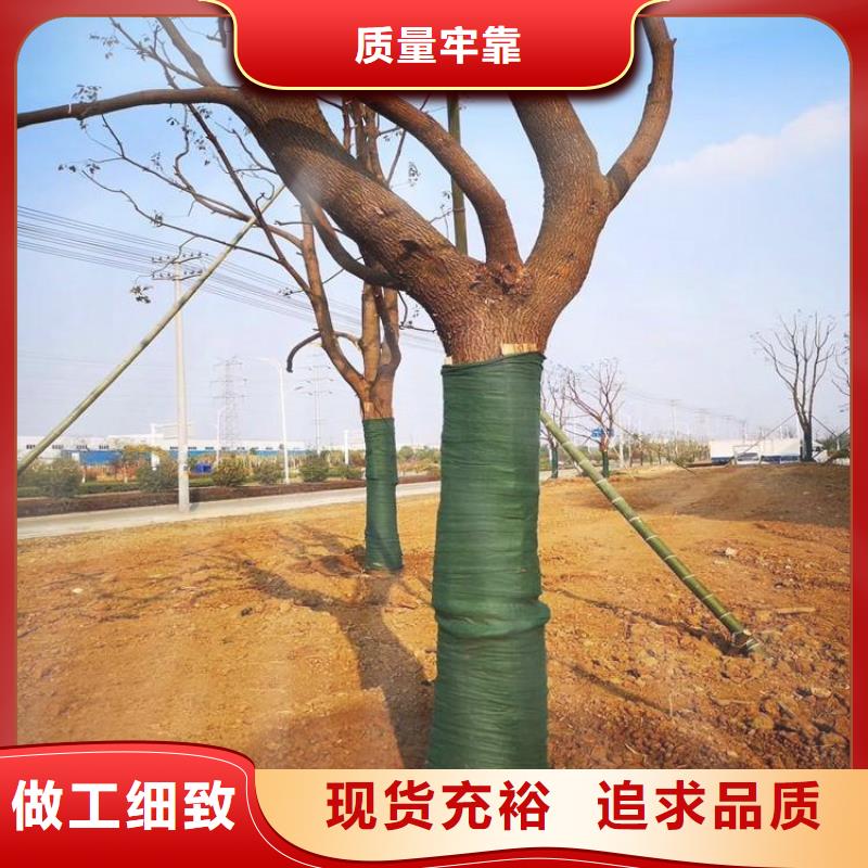 机织布视频-机织布_安徽省亳州市市场覆盖谯城|蒙城|合肥|黄山|宿州|马鞍山|铜陵等