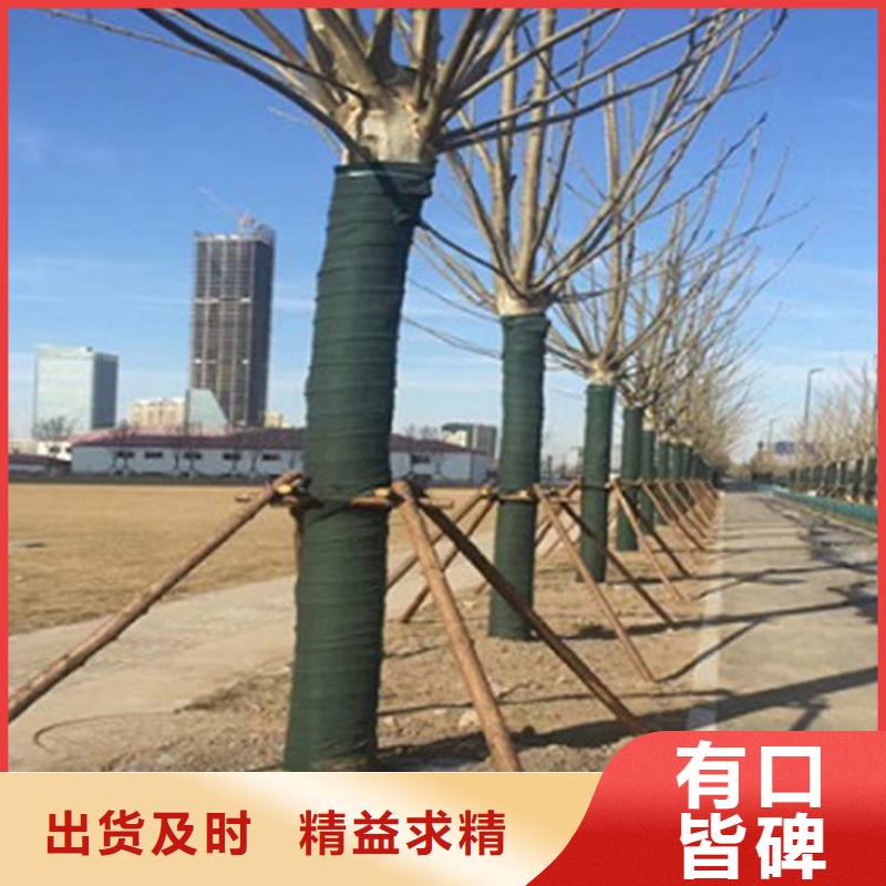 机织布视频-机织布_安徽省亳州市市场覆盖谯城|蒙城|合肥|黄山|宿州|马鞍山|铜陵等