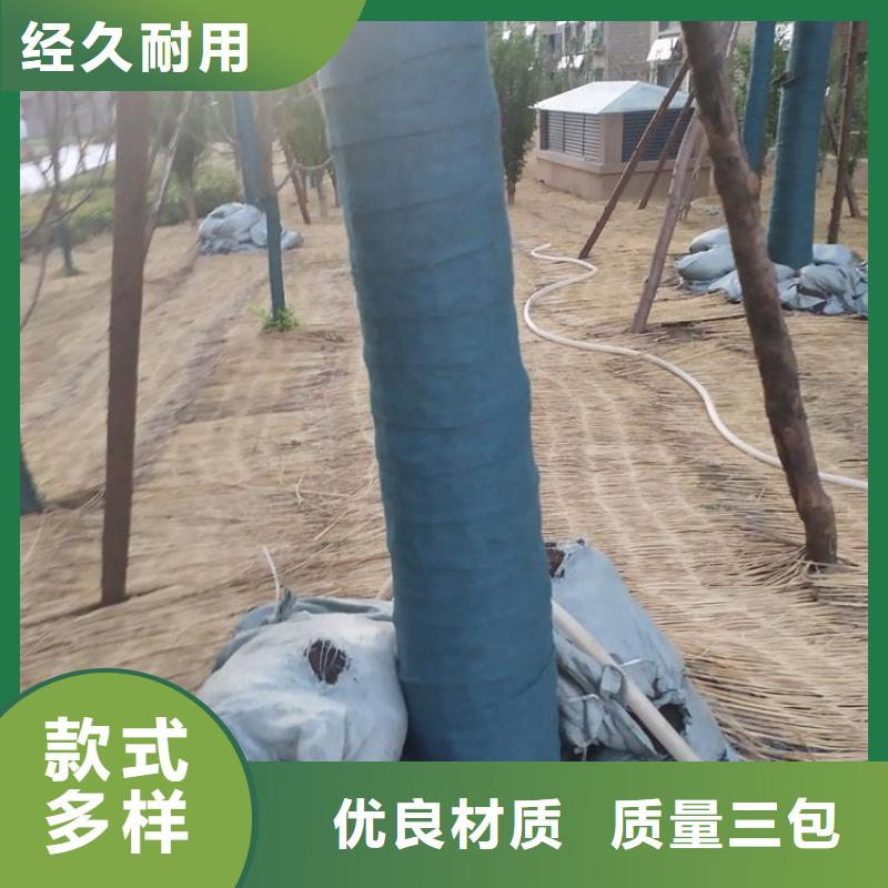 裹树布双向土工格栅物流配货上门