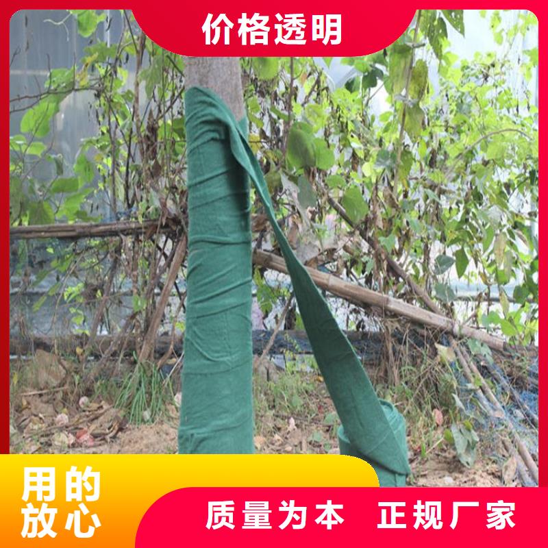机织布视频-河南省新乡市中齐机织布可服务区域红旗|延津|三门峡|安阳|商丘|洛阳|漯河|焦作等