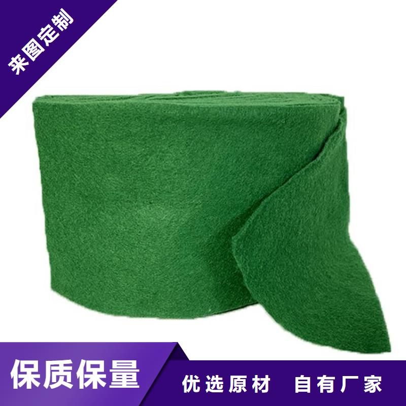 裹树布网格布实力厂家直销