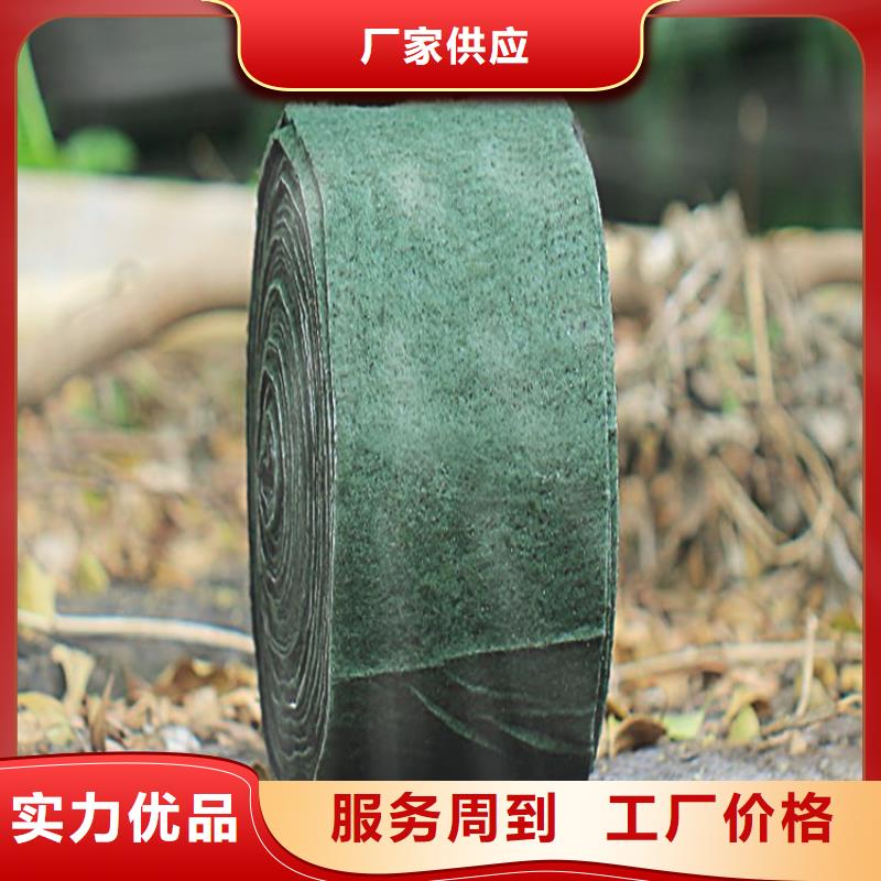 裹树布_塑料土工格栅品质做服务