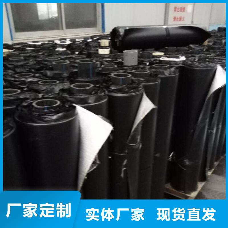 抗裂贴双向土工格栅厂家型号齐全