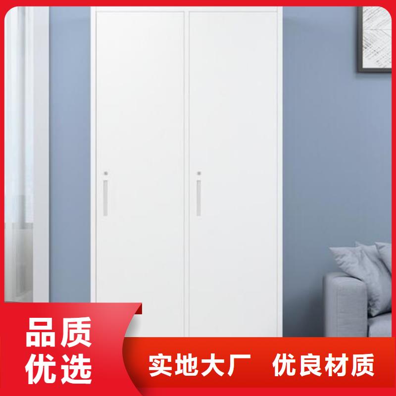 二门更衣柜双柱钢制书架
