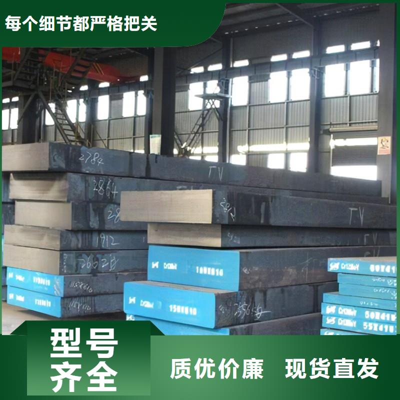 模具钢视频-模具钢|山东省济南市|槐荫|历下|日照|临沂|青岛|淄博|潍坊|菏泽|东营