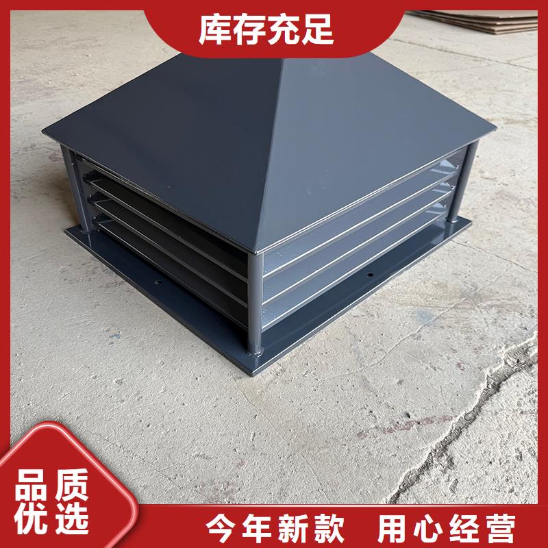 厦门D系列四孔风帽正规厂家