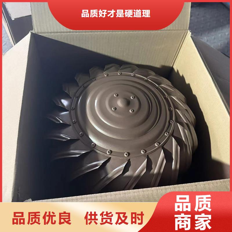 D系列四孔风帽烟道排风帽