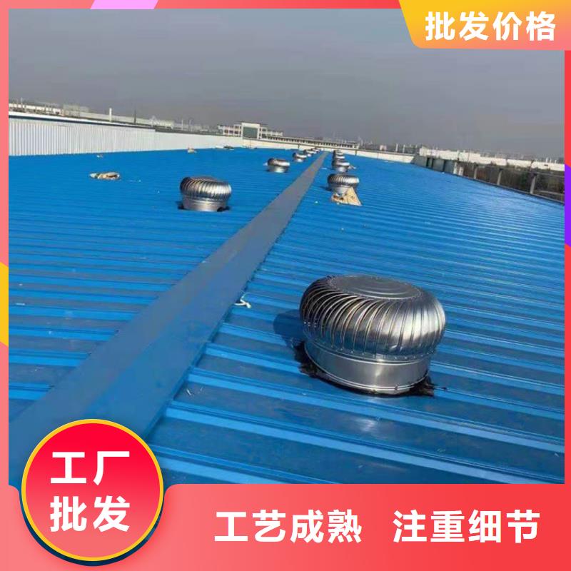 A系列无动力风帽实力雄厚