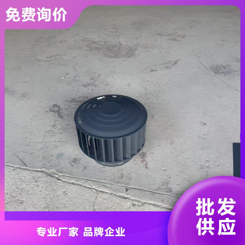 A-FM-BPS型风帽价格合理