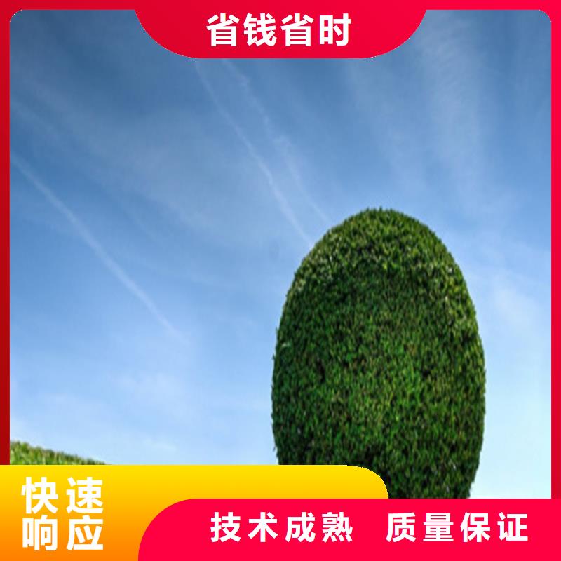 工程预算 投标报价正规公司