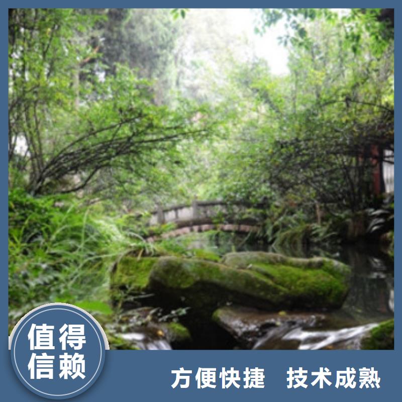 工程预算代写采购标拒绝虚高价
