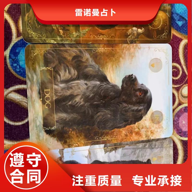 塔罗占卜专业承接
