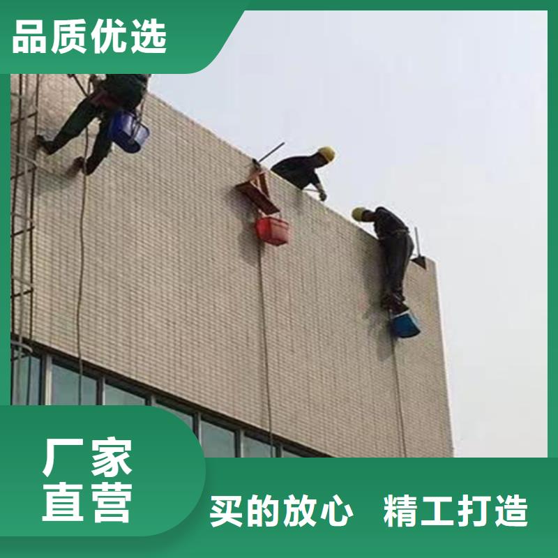 【外墙清洗】害虫防治精致工艺