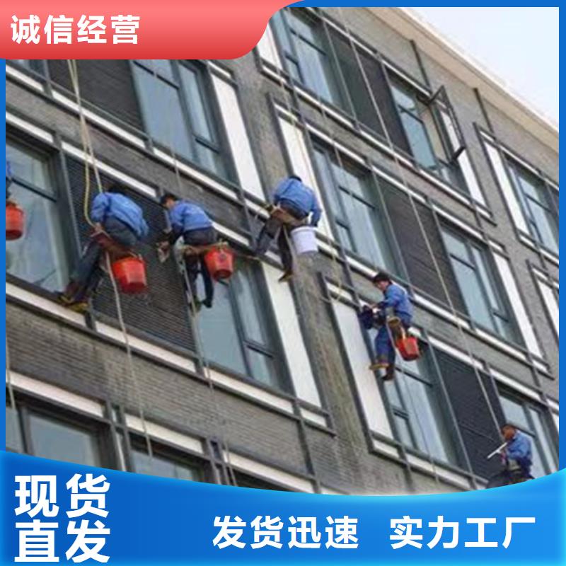 【外墙清洗】灭鼠支持加工定制