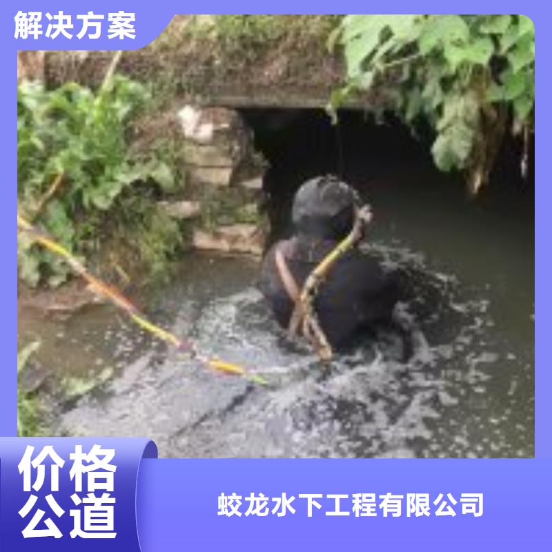 潜水服务公司本地潜水救援方便快捷