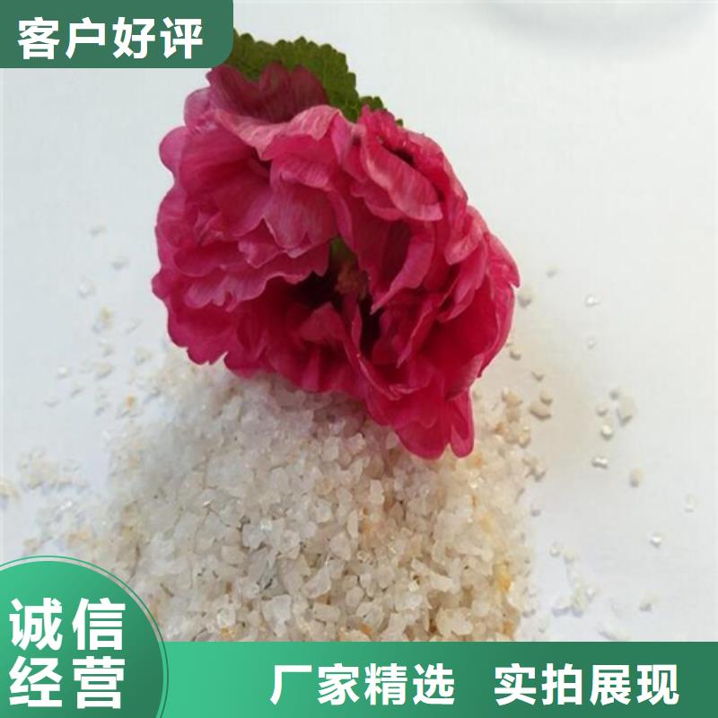 石英砂煤质粉末活性炭RS1经销商