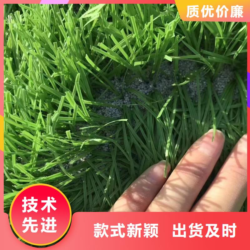 石英砂批发货源