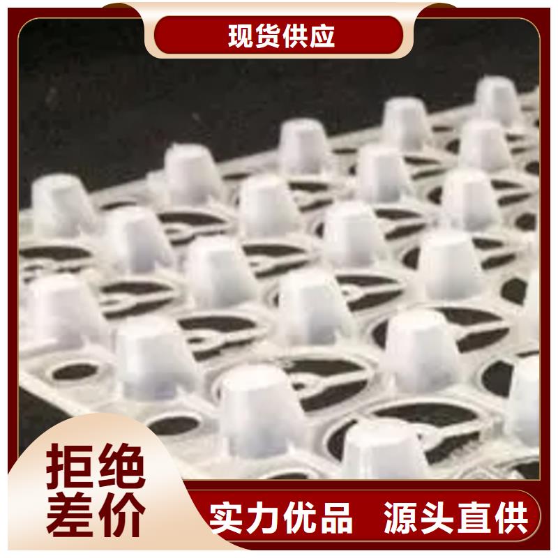 排水板水泥化粪池支持大批量采购