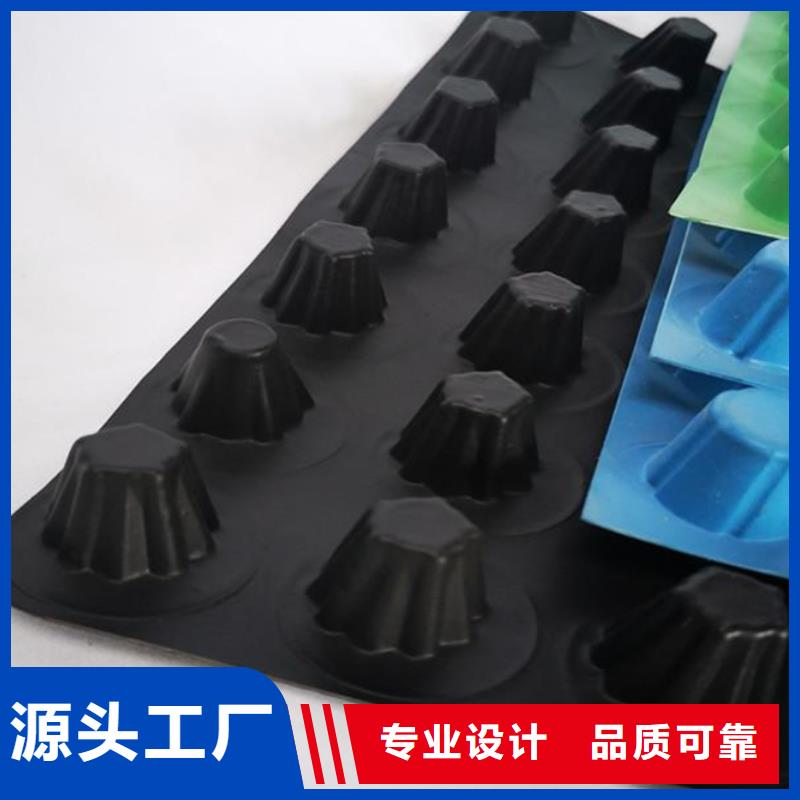 排水板水泥化粪池敢与同行比服务
