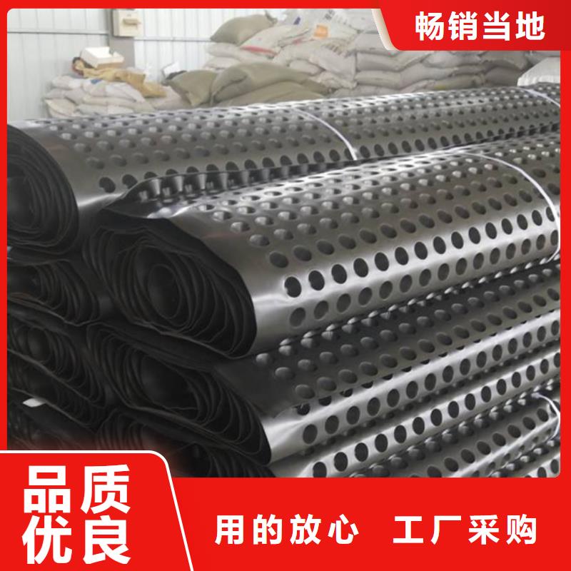 排水板水泥化粪池敢与同行比服务