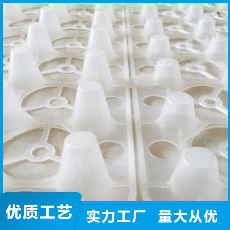 排水板防护虹吸排水收集系统让利客户