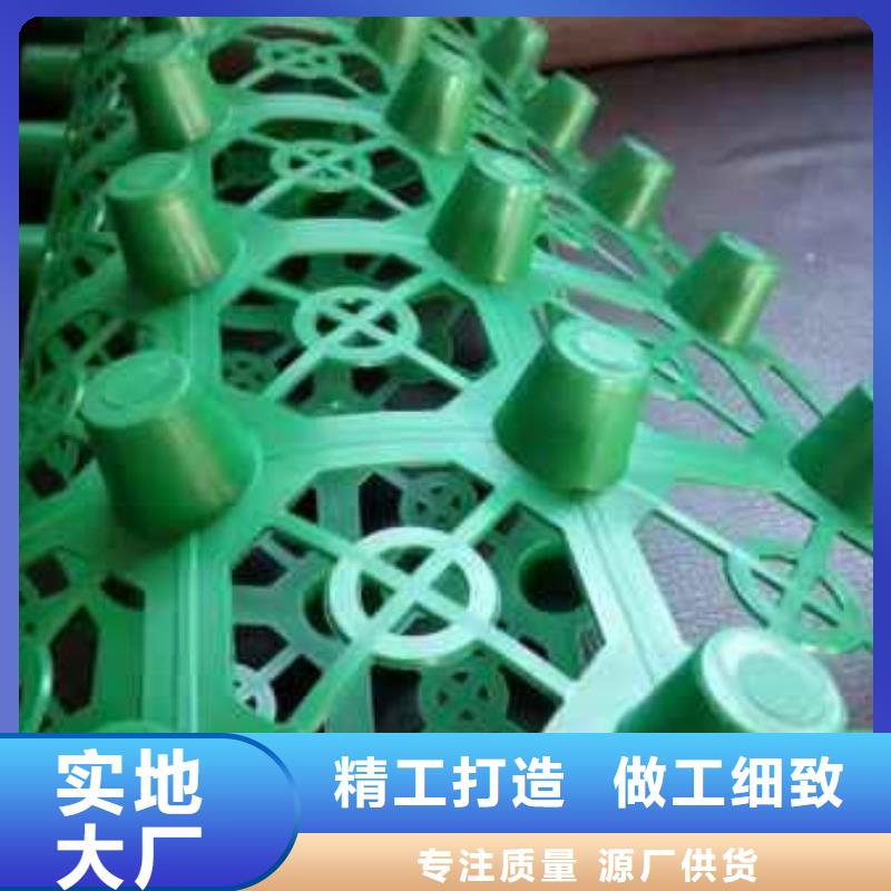排水板_化粪池水泥海量货源