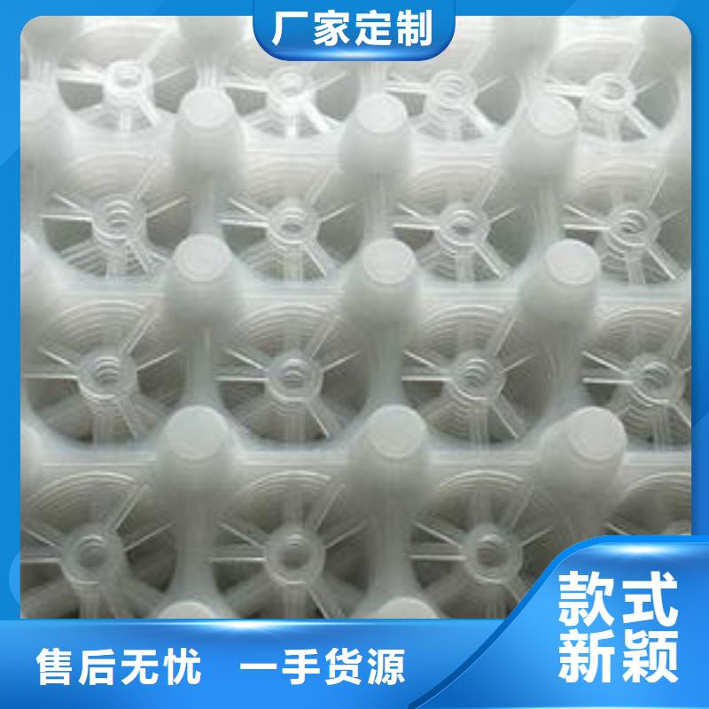 排水板植草格严谨工艺