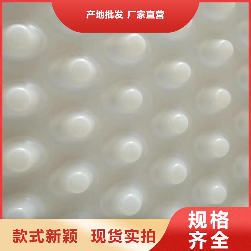 排水板防护虹吸排水收集系统颜色尺寸款式定制