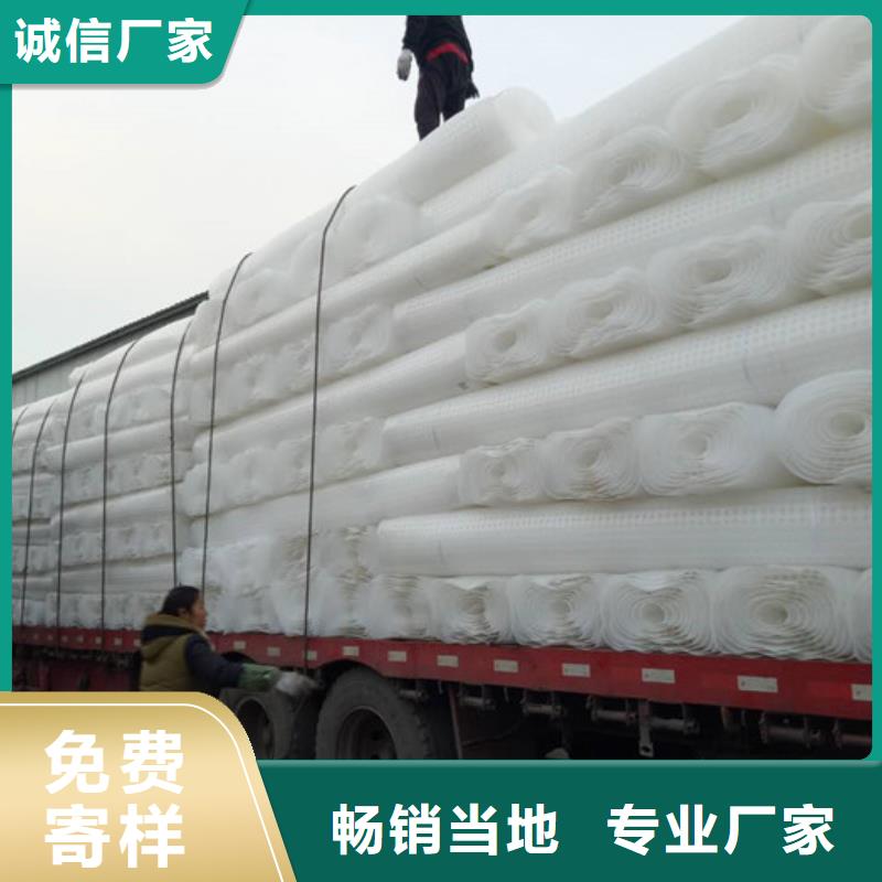 排水板植草格现货充足