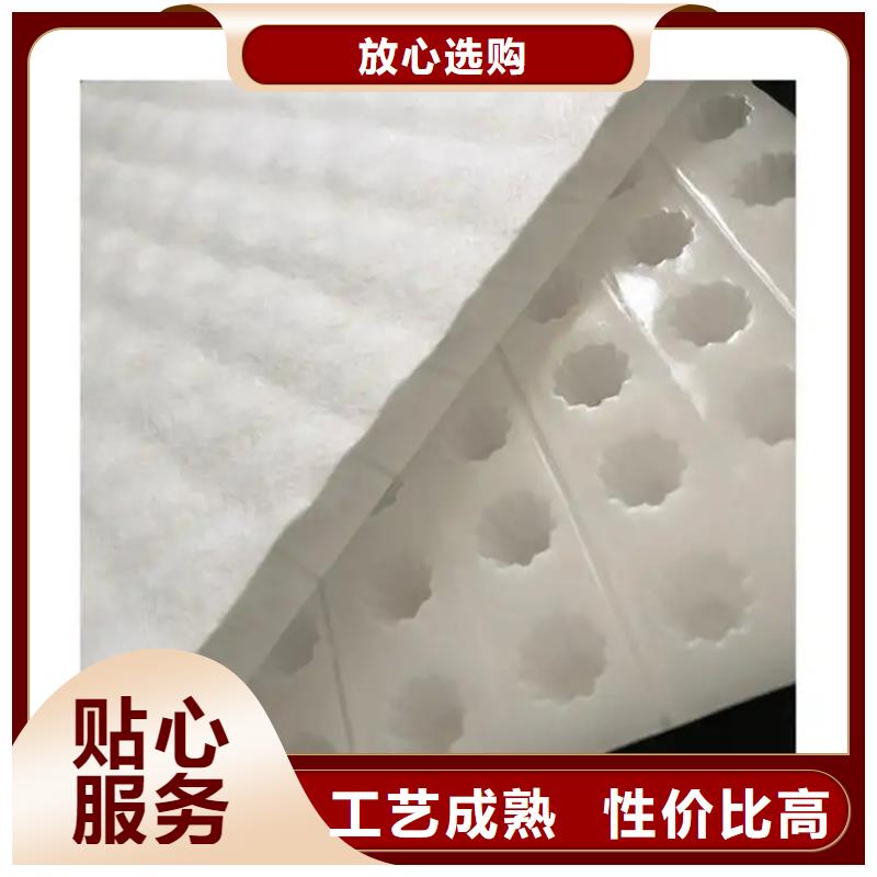 虹吸排水【防护虹吸排水收集系统】贴心服务