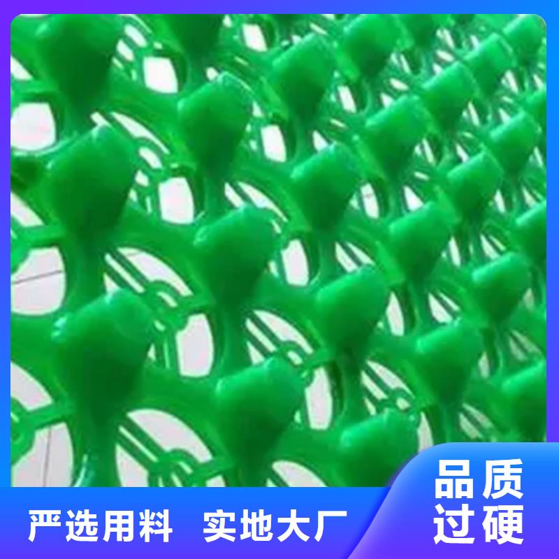 虹吸排水_植草格工厂直供