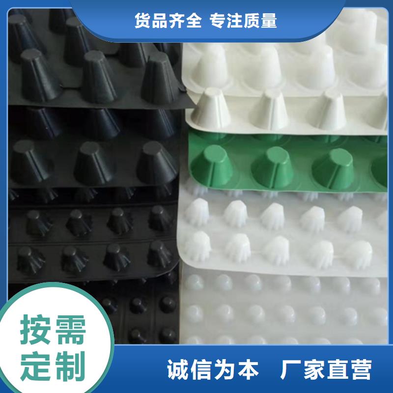 虹吸排水_植草格工厂直供