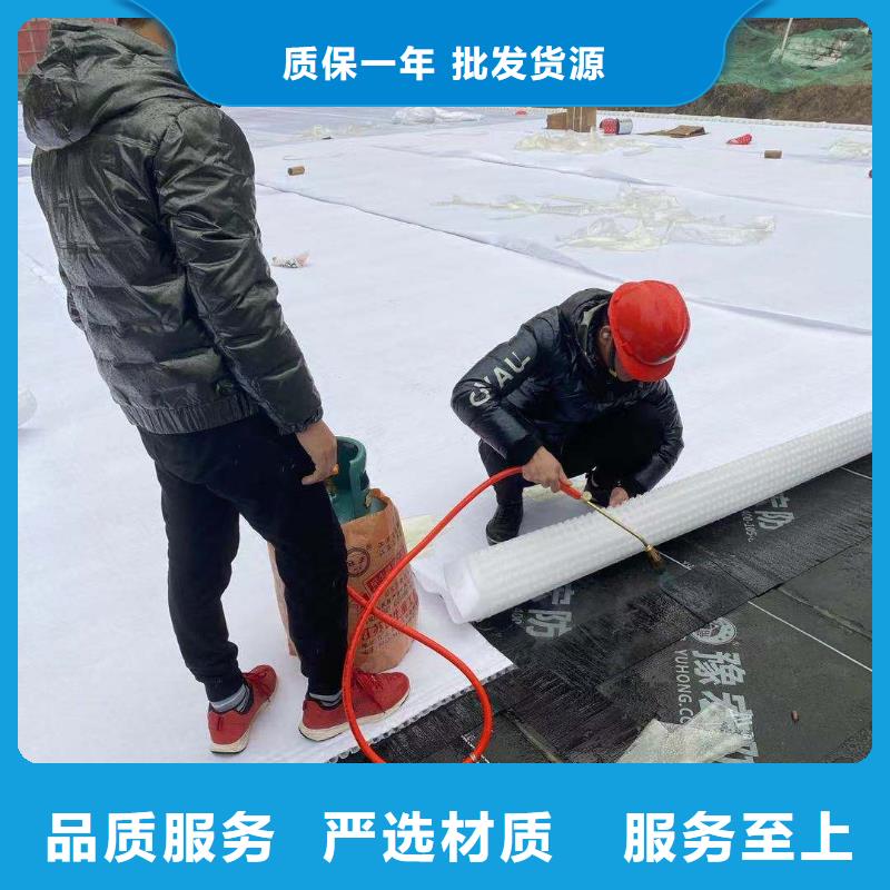虹吸排水_植草格工厂直供