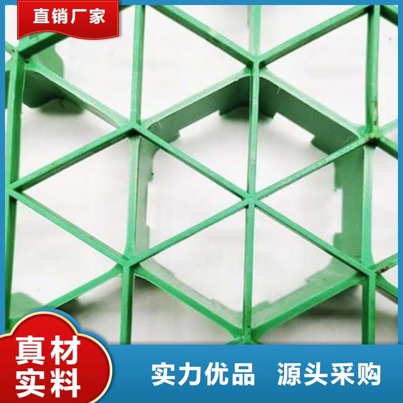 植草格工厂批发
