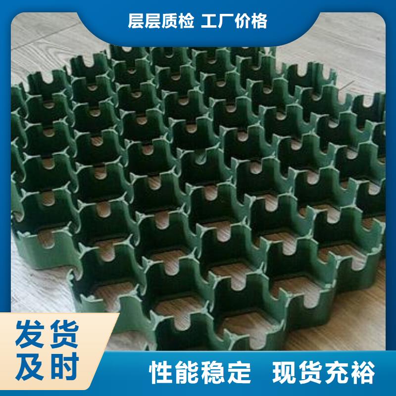 植草格植草格供应商