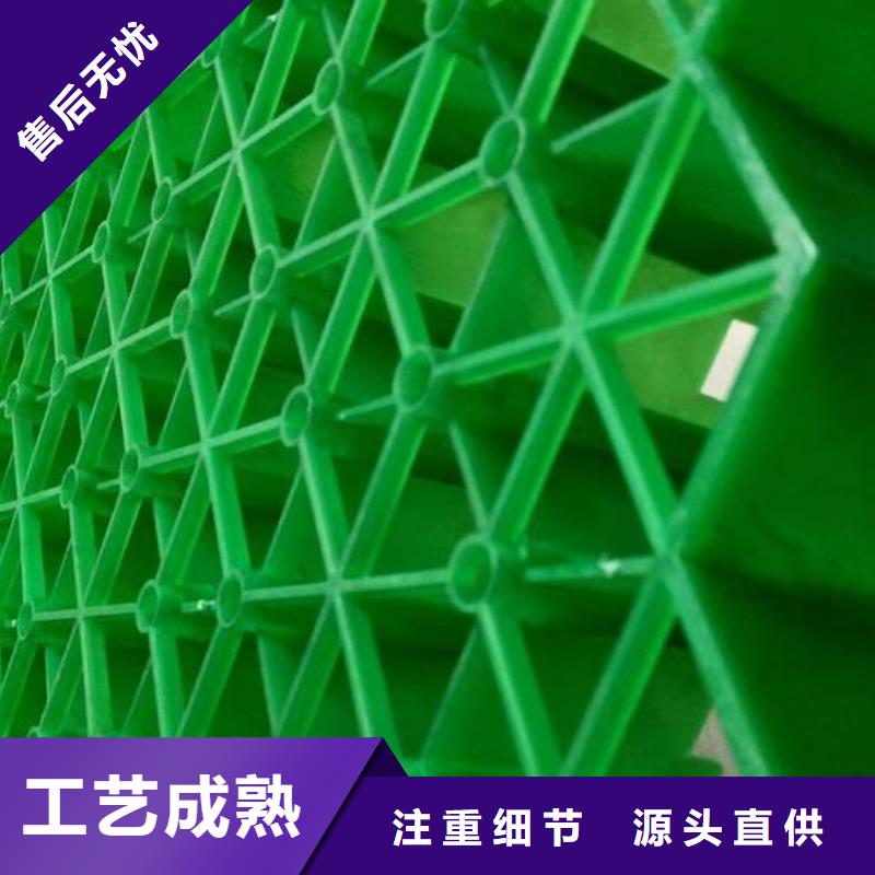 朋联【 植草格-排水板品质保障价格合理】
