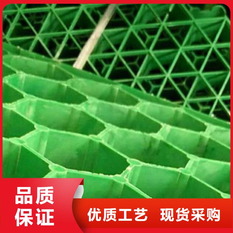 朋联【 植草格-排水板品质保障价格合理】