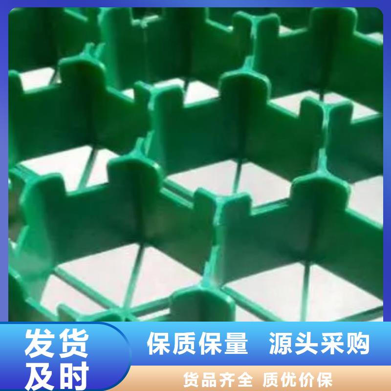 朋联【 植草格-排水板品质保障价格合理】