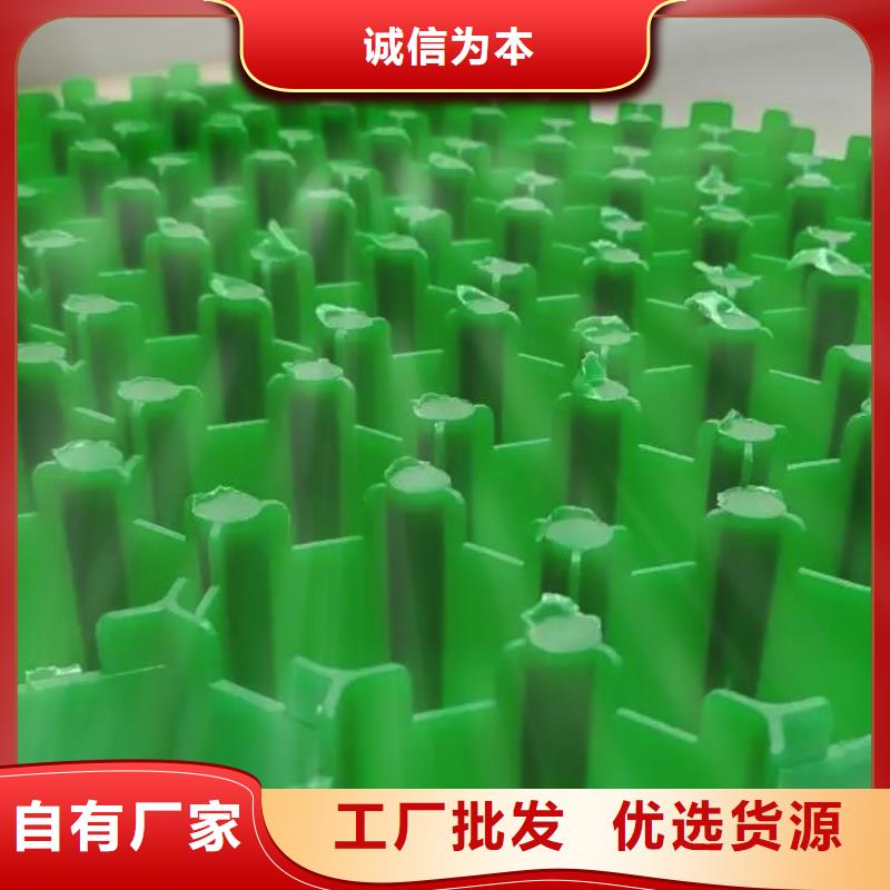 【植草格】_植草格应用范围广泛