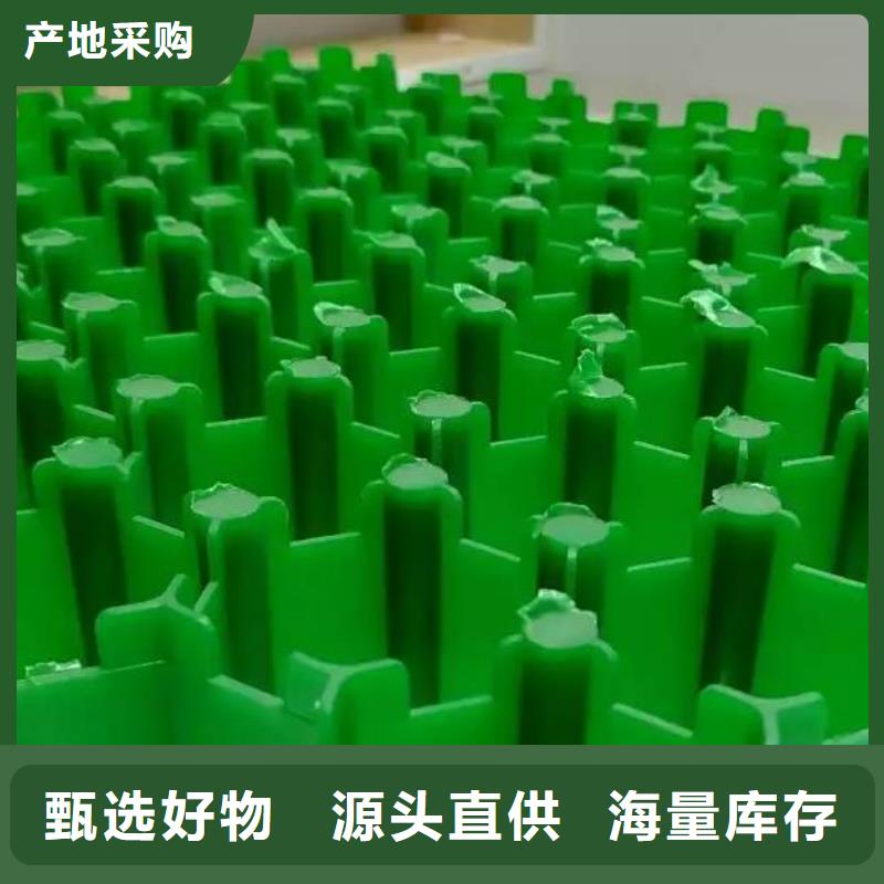 朋联【植草格】,防护虹吸排水收集系统工厂现货供应