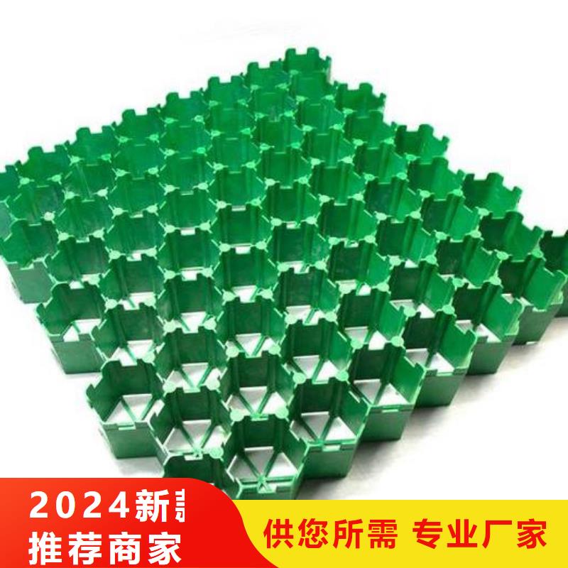 【植草格】-防护虹吸排水收集系统自主研发质量三包