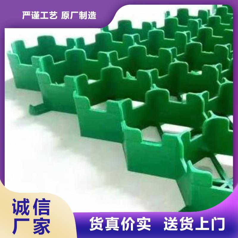 植草格,防护虹吸排水收集系统严格把控每一处细节