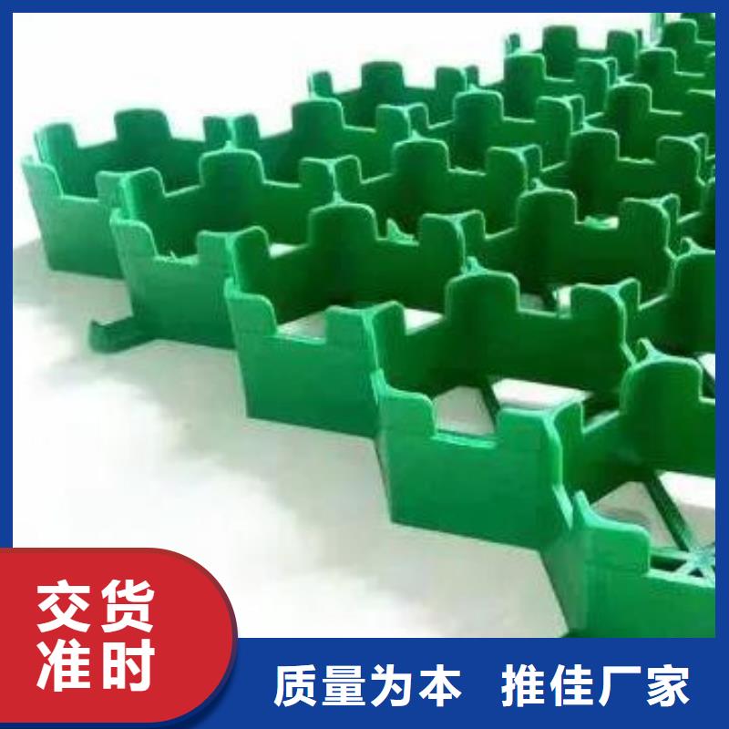 植草格植草格品质服务