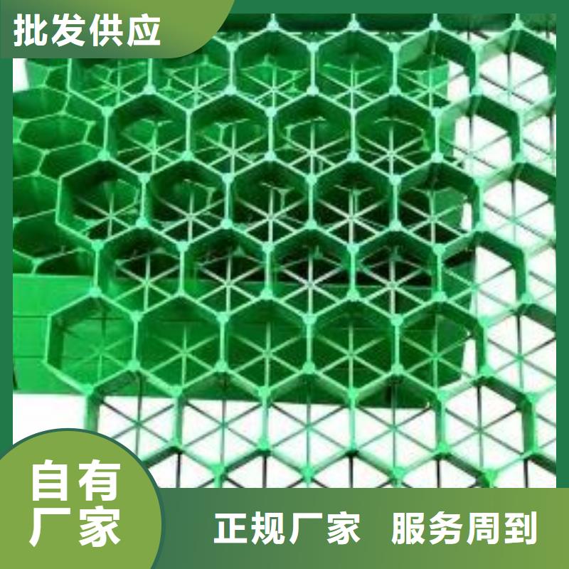 植草格植草格工厂直营