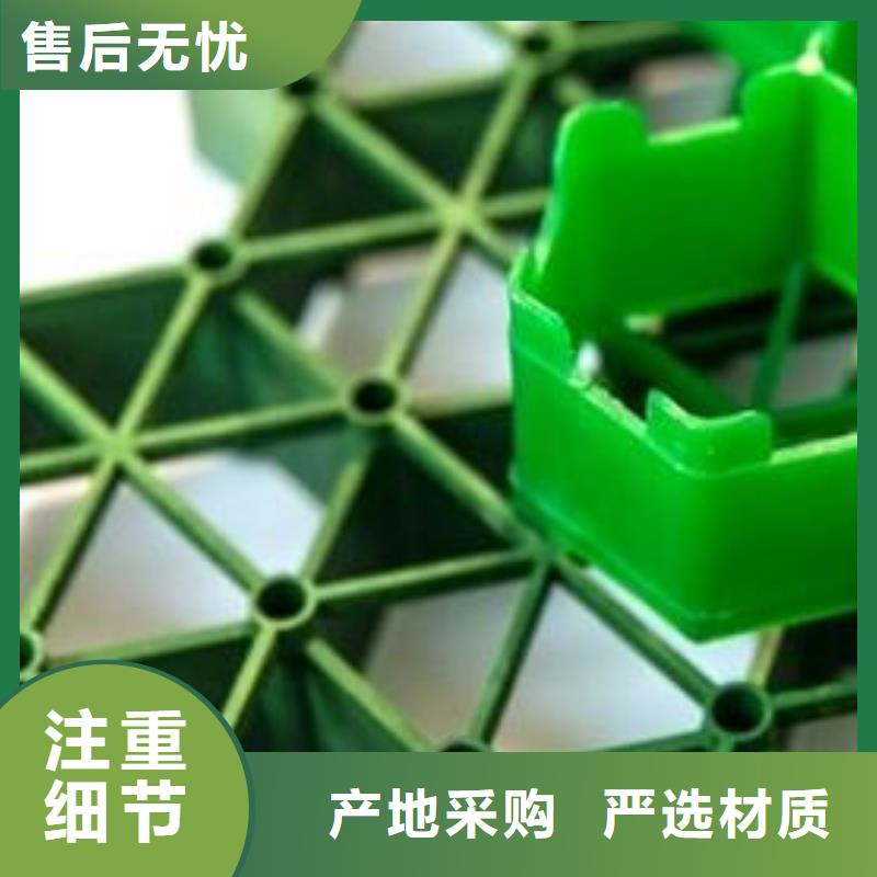 【植草格】_植草格应用范围广泛