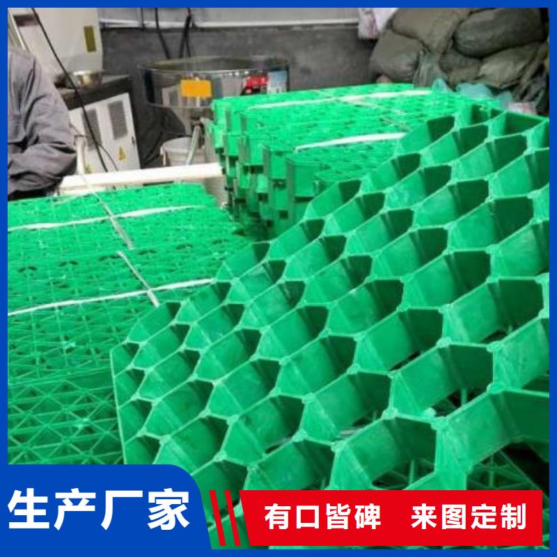 【植草格】_植草格应用范围广泛