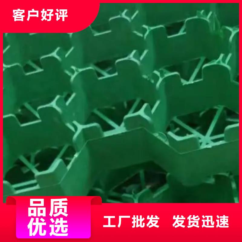 植草格水泥化粪池质量优选