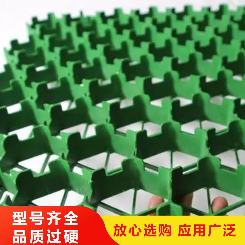 植草格水泥化粪池大品牌值得信赖